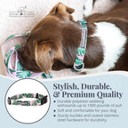 Lucky Love Dog - Adjustable Dog Collar with Easy Click Buckle for Small Dogs, Durable, & Comfortable for Male & Female Dogs, Pet Collar for Puppies & Adult Dogs - Laguna, Small