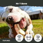 BarkBox Super Chewer Tough Dog Chew Toys - Large | for Aggressive Chewers, Dental Stimulating T Bone