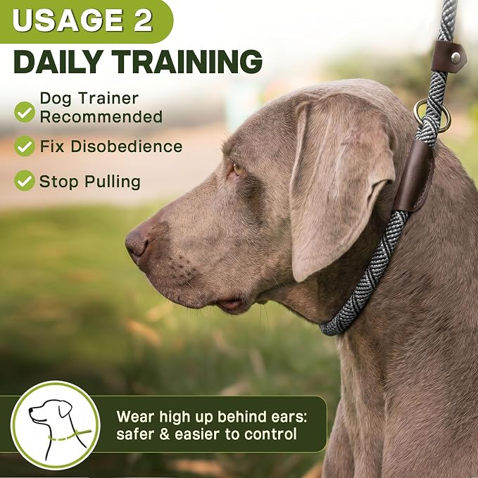 Fida Durable Slip Lead, 6 FT x 1/2" Heavy Duty Dog Loop, Comfortable Strong Rope Leash for Large, Medium Dogs, No Pull Pet Training Leash with Highly Reflective, Grey