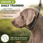 Fida Durable Slip Lead Dog Leash, 6 FT x 3/8" Heavy Duty Comfortable Strong Rope Slip Lead for Small Dogs and Puppies, No Pull Pet Training Leash with Highly Reflective(3/8", Grey)
