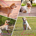 lynxking Long Dog Leash Reflective 15ft 30ft 50ft Check Cord Training Lead Padded Handle Heavy Duty Rope for Puppy Small Medium Large Dogs (Pink, 50ft x 3/8inch)