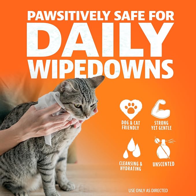 Angry Orange Unscented Pet Wipes - Hypoallergenic & Fragrance-Free With Aloe & Chamomile - Thick Grooming Wipes for Paws, Fur, Butt - Safe for Dogs & Cats - 320 Count - Value 4 Pack