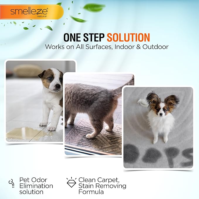 SMELLEZE Pet Pee Powder, 2 lb | Unscented Urine Solidifier for Dog & Cat Accidents - 2 lb Bottle, Handles up to 360 Messes per Bottle