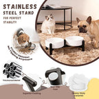 Raised Ceramic Dog Bowl Set with Stand, 2.1 Cups Elevated Dog Food Stand | 6'' Double Dog Food and Water Bowl Set, Non-Slip Dog Feeding Dishes for Small Breeds and Cats, 14 OZ, White