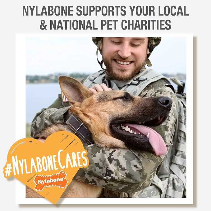Nylabone Power Chew Comfort Hold X Bone Dog Chew Toy, Beef Flavor, Small | Small breeds, durable dog toys for dogs up to 25 lbs, teeth-cleaning textures, discourages destructive chewing, long lasting