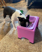 Fluff Trough Elevated Slow Feeder Dog Bowls | Slow Feeder Cat Bowl with Vet Approved & Non-Toxic Silicone Minimizes Neck Strain | Paced Eating Insert Designed for Flat-Faced Pets (Purple)