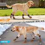 BEAUTYZOO Anti Slip Dog Socks to Prevent Licking Paws, Dog Shoes for Hot Pavement, Grip Socks for Dogs on Hardwood Floors, Dog Booties Alternative, Reflective&Washable Paw Protection for Senior Dogs