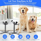 Dog Bowls,Elevated Adjustable Dog Bowl Stand with 3 Heights & Tilted Feeding Design, Raised Stand Compatible with Medium & Large Breeds(2 Pack) Grey