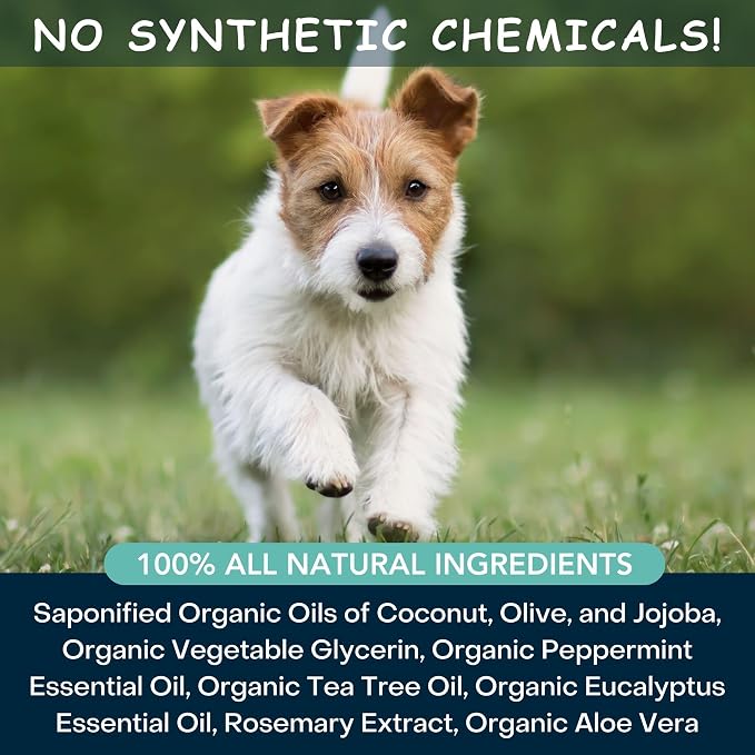 4Legger Organic Dog Shampoo, Cooling Peppermint Tea Tree Dog Shampoo for Skin Conditions and Hot Spot - 16 oz