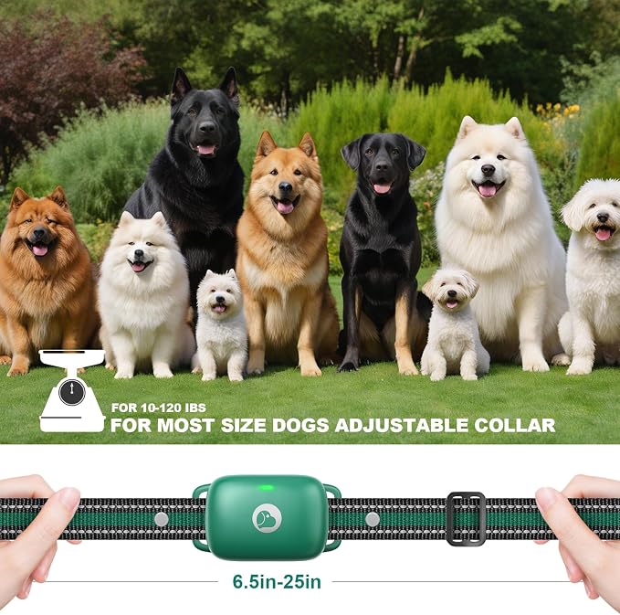 Dog Shock Collar, E-Collar with Security Lock, IPX8, Rechargeable | Dog Training Collar With Remote, 2600FT Dog Electric Collar, Beep/Vibration/Shock, Fits Large Medium Small Dogs All Breeds