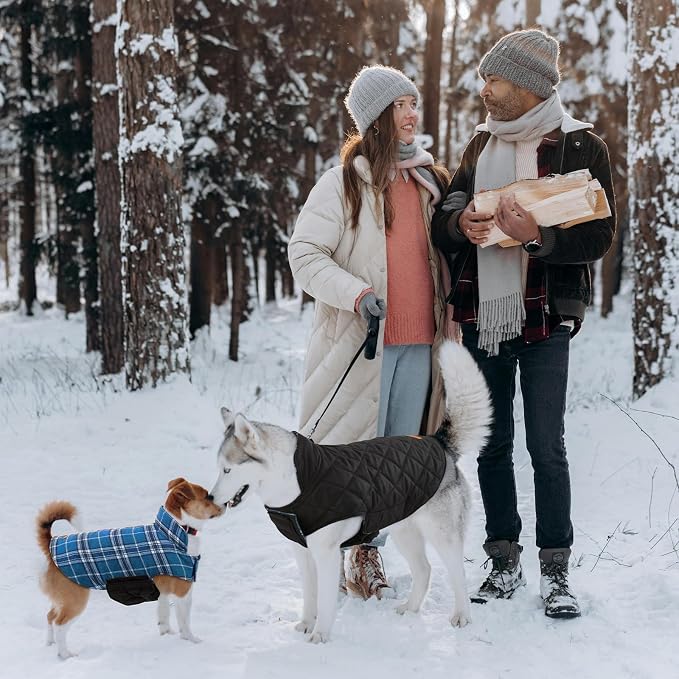 Kuoser Waterproof Dog Coat, Reversible Dog Jacket for Small Dogs, Blue S | Adjustable Durable Doggie Winter Coat Warm Cozy Puppy Cold Weather Apparel from Small to Large Breed
