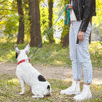 Dogline Biothane Waterproof Dog Leash Strong Coated Nylon Webbing with Black Hardware Odor-Proof Easy to Clean High Performance for Small or Large Dogs Made in USA 4 or 6 ft Lead, Blue Aqua
