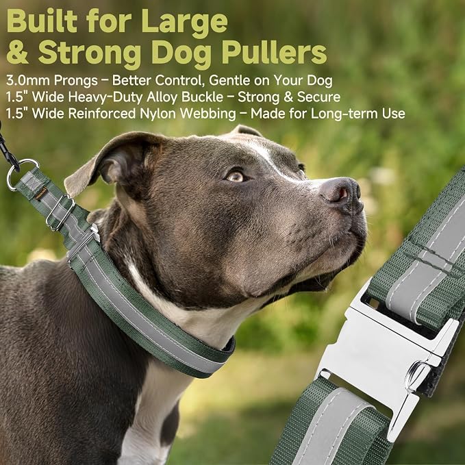 Mayerzon Martingale No Pull Dog Collar with Alloy Buckle, Green, M, 3mm | For Medium Large Dogs that Pull, Patented Dog Walking Training Collar, Thick Foam Padding, Reflective, Adjustable, 1.5'' Wide