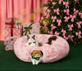 Lesure Donut Cute Jacquard Cat Tunnel Bed Kitten Toys for Puppy Bunny | 33.5x33.5x10in,Round Cat Bed Tube for Indoor Cats Rabbit Dog,Pet Peekaboo Cave Toy,Spiral Hideaway,Washable Cushion,Pink