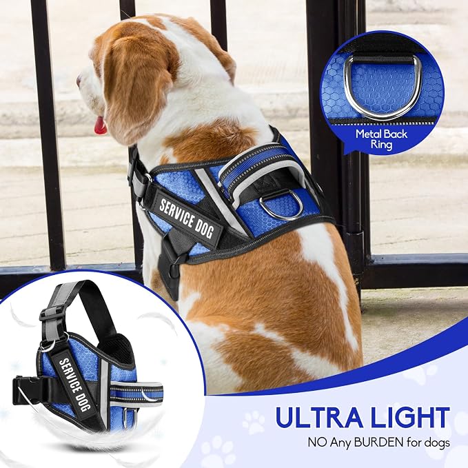 Service Dog Vest Harness and Leash Set, Animire in Training Dog Harness with 10 Dog Patches, Reflective Dog Leash with Soft Padded Handle for Small, Medium, Large, and Extra-Large Dogs (Blue,L)