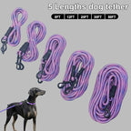 BTINESFUL 8ft 12ft 20ft 30ft 50ft 75ft Dog Tie Out Rope Leash, Long Tether Outdoor Yard Leash- Large Medium Dogs Training, Playing, Camping, Backyard Dog Lead (Pink Blue, 30 Foot)