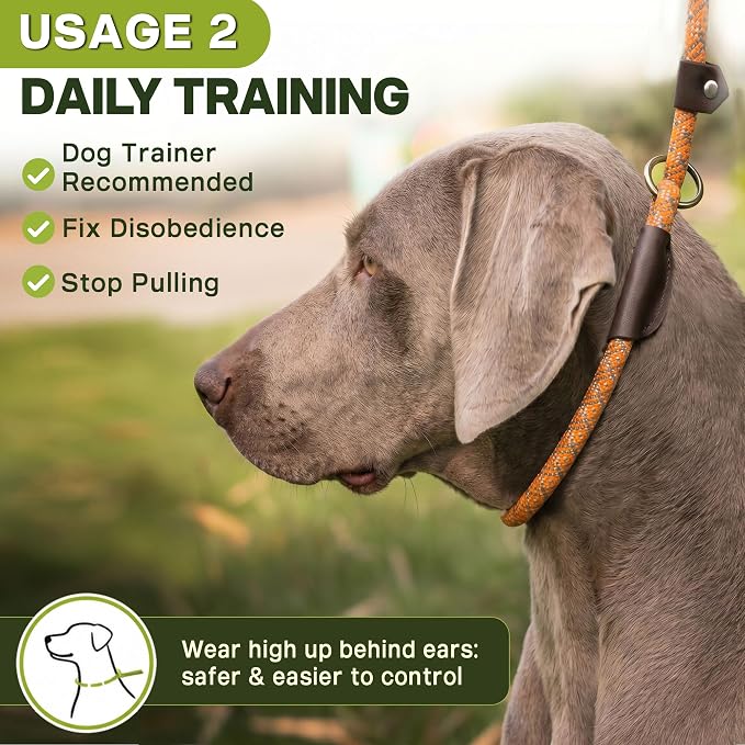 Fida Durable Slip Lead Dog Leash, 6 FT x 3/8" Heavy Duty Comfortable Strong Rope Slip Lead for Small Dogs and Puppies, No Pull Pet Training Leash with Highly Reflective (3/8", Orange)