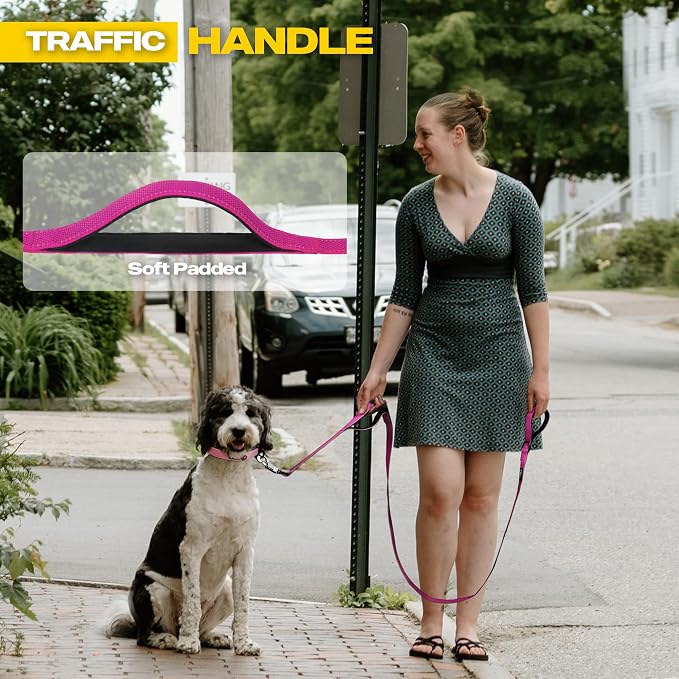 Fida 10ft Heavy Duty Dog Leash with 2 Comfortable Padded Handles, Traffic Handle & Advanced Easy Snap Hook, Reflective Walking Lead for Large, Medium & Small Breed Dogs, Rose