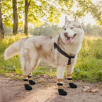 KOOLTAIL Anti Slip Dog Socks for Hot/Clod Pavement to Prevent Licking Paws，Dog Booties for Hardwood Floors, Traction Rain Dog Boots&Paw Protectors Shoes with Grip for Small Medium Large Senior Dogs M