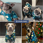Spark Paws Dog Hoodie – Premium Dog Sweater for Small, Medium, and Large Dogs | Warm Outfits for French Bulldogs, Pitbull, Puppy, Winter Jacket Alternative - Daisy - 2XL