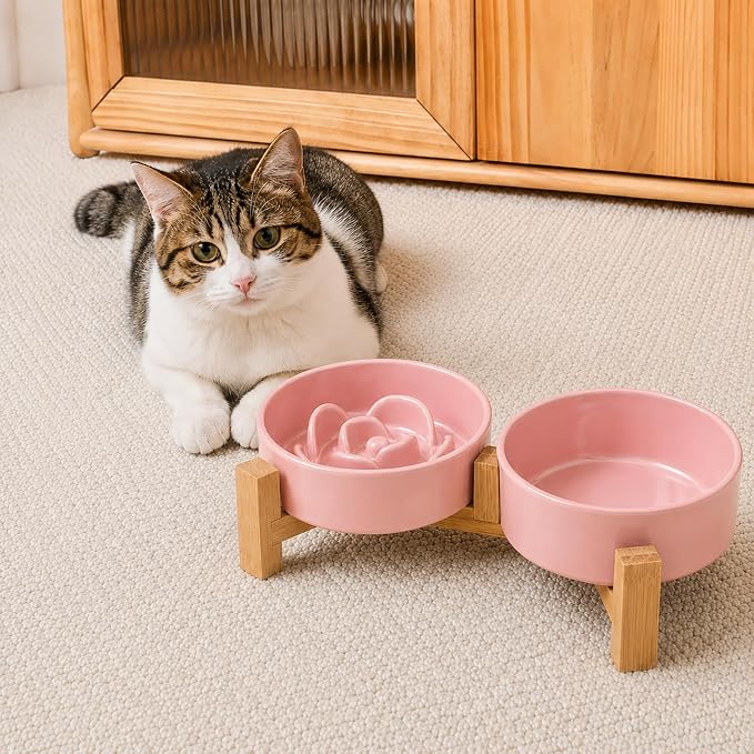 Ceramic Slow Feeder Dog Bowls with Raised Stand, 1.5 Cups Elevated Slow Feeding Bowl for Small and Medium Dogs and Cats, Non-Slip Pet Food Dish Helps Reduce Gulping and Bloating