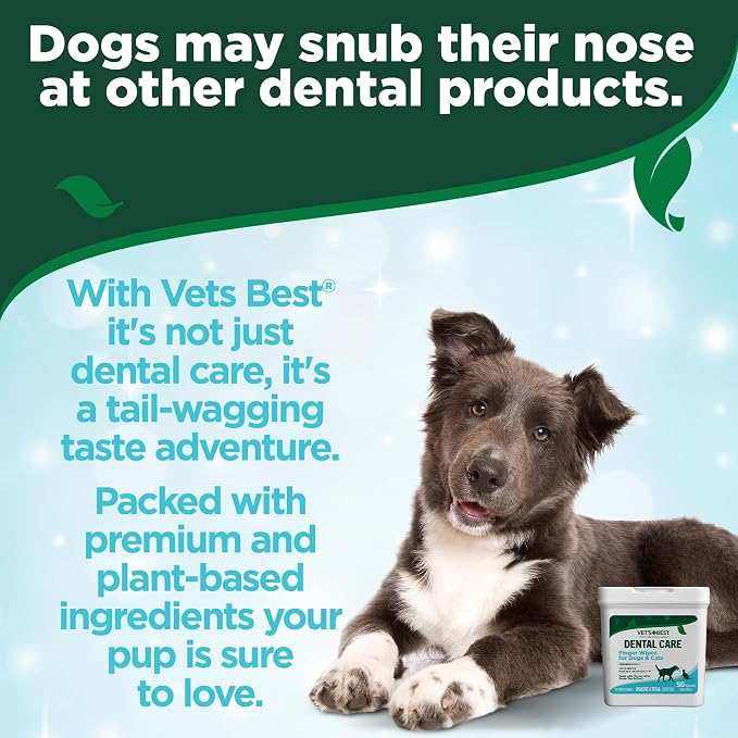 Vet's Best Dental Care Finger Wipes (2 Pack) for Dogs & Cats - 50ct | Reduces Plaque & Freshens Breath - Teeth Cleaning Finger Wipes
