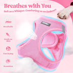 rabbitgoo Dog Harness Medium Sized and Leash Set, Step-in Puppy Pet Vest | Light, Soft, Breathable Air Mesh, Easy on and Remove with Hook & Loop, Secure Reflective for Walking, Light Pink XXL