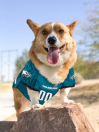 Pets First NFL Philadelphia Eagles Dog Jersey, Size X-Small, Football Shirt Costume for Pet, Dog Sports T-Shirt, NFL Team Clothing for Cats, Licensed Pet Apparel Available in 7 Sizes and 32 Teams