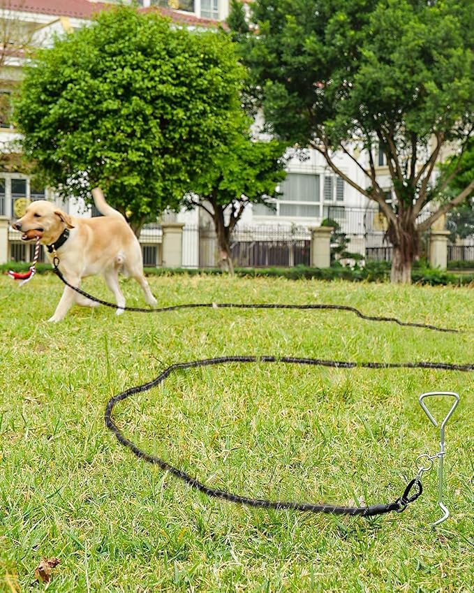 Joytale Long Dog Leash for Yard Tie Out & Recall Training, Black, 15FT | Secure Locking Carabiner, Removable Padded Handle, Reflective Webbing for Night Safety, Ideal for Outdoor Play and Camping