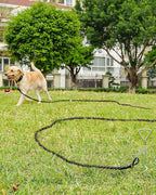 Joytale Long Dog Leash for Yard Tie Out & Recall Training, Black, 15FT | Secure Locking Carabiner, Removable Padded Handle, Reflective Webbing for Night Safety, Ideal for Outdoor Play and Camping