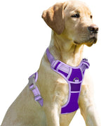 BARKBAY No Pull Dog Harness Front Clip Heavy Duty Reflective Easy Control Handle for Large Dog Walking(Violet Purple & Purple,XS)
