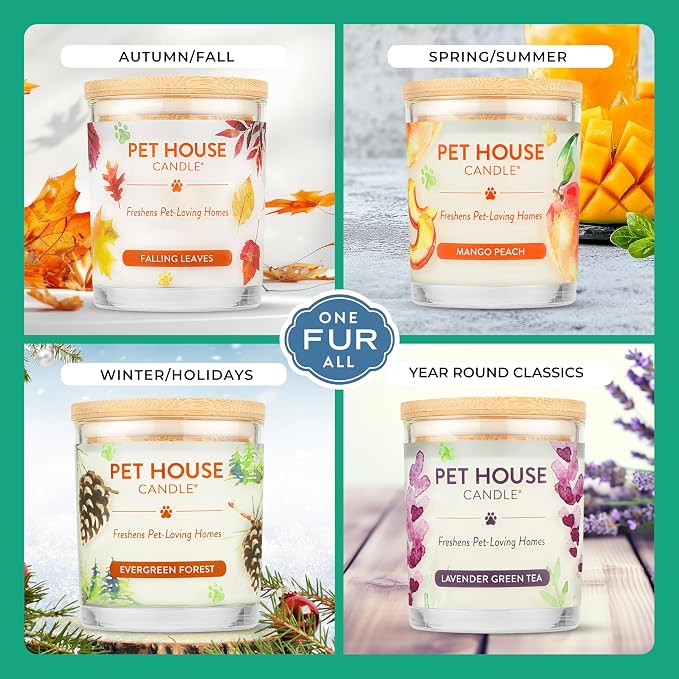 Pet House Candles, Clean Burning Scented Pet Odor Candles, Natural Soy-Based, 60 Hour Burn Time - Snow Cone, 9 oz, 2 Pack
