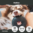 Barkbox Super Chewer Tough Dog Chew Toys for Aggressive Chewers, Dental Stimulating (Radius - Large) | Durable Dog Toy for Aggressive Chewers - Vanilla Scented Chew