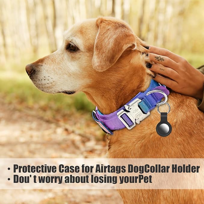 Tactical Dog Collar Military Dog Collar Adjustable Nylon Dog Collar Heavy Duty Metal Buckle with Handle for Dog Training,with Patches (Gradient 1, M)