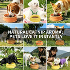 Cool Kids Collapsible Dog Bowl Travel Portable Anti-Tip Double-Sided | 2-In-1 Slow Feeder & Hydration, Catnip Scent, Abs+Tpe Sturdy Build, Fits Small Medium Pups, Hiking Camping Gear