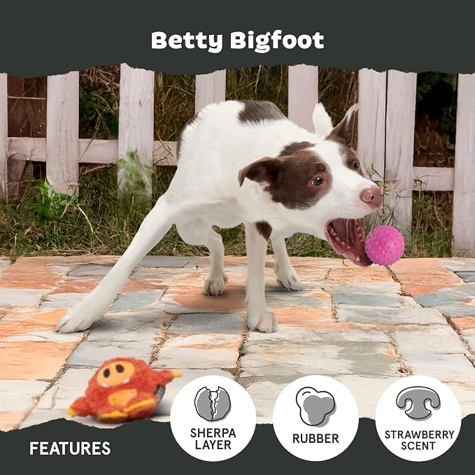 Barkbox Betty Bigfoot Dog Toy for Medium to Large Aggressive Chewers, Durable with Hidden Surprise Toy Inside for Extended Playtime | for to Aggressive Chewers, Durable with Hidden Surprise Toy Inside for Extended Playtime