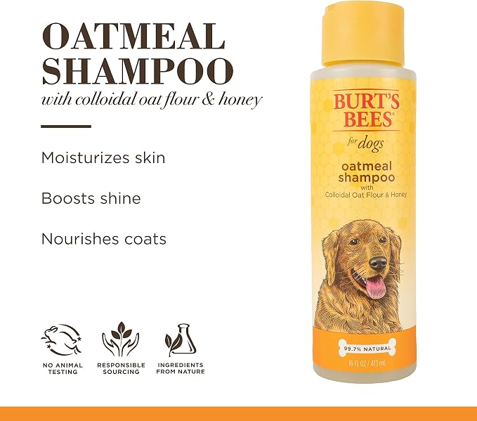 Burt's Bees for Dogs Natural Oatmeal Dog Shampoo | With Colloidal Oat Flour & Honey | Cruelty Free, Sulfate & Paraben Free, pH Balanced for Dogs - Made in USA, 16 Oz - Pack of 6