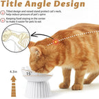 Ceramic Raised Cat Bowl，Tilted Raised Cat Bowl Anti Vomit Cat Bowls for Indoor Cats Whisker Friendly Pet Feeder for Cats Puppies, Microwave and Dishwasher Safe