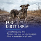 Chris Christensen Clean Start Clarifying Dog Shampoo - Pro-Vitamin Formula That Won’t Strip The Coat! Removes Product Build-up, Waxes, Oil and Dirt (16 Ounces)
