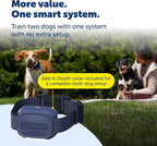 PetSafe Core Dog Trainer with Remote and Add-A-Dog Collar Waterproof Training Collar 1000-Foot Range Tone, Vibration and 15 Levels of Static Built-in LED Light