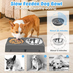URPOWER Raised Dog Bowls 4 Height Adjustable Elevated Bowl Stand | Stainless Steel Water Bowl Non-Slip Dog Food Bowls Stand for Small Medium Large Dogs and Pets