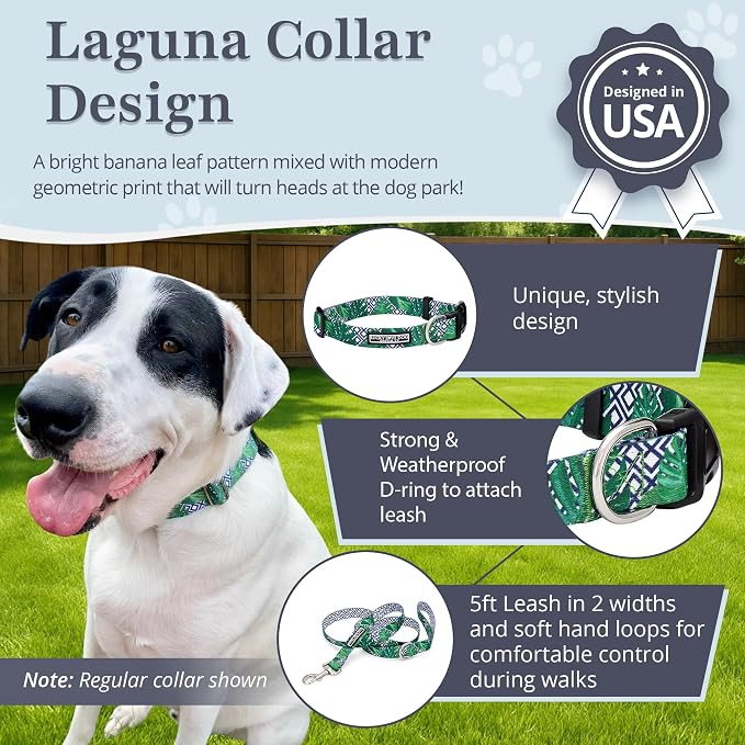 Lucky Love Dog Collar and Leash Set, Beautiful & Vivid Patterns, Easy On & Off Clasp Accessory (Blue Laguna, M Combo)