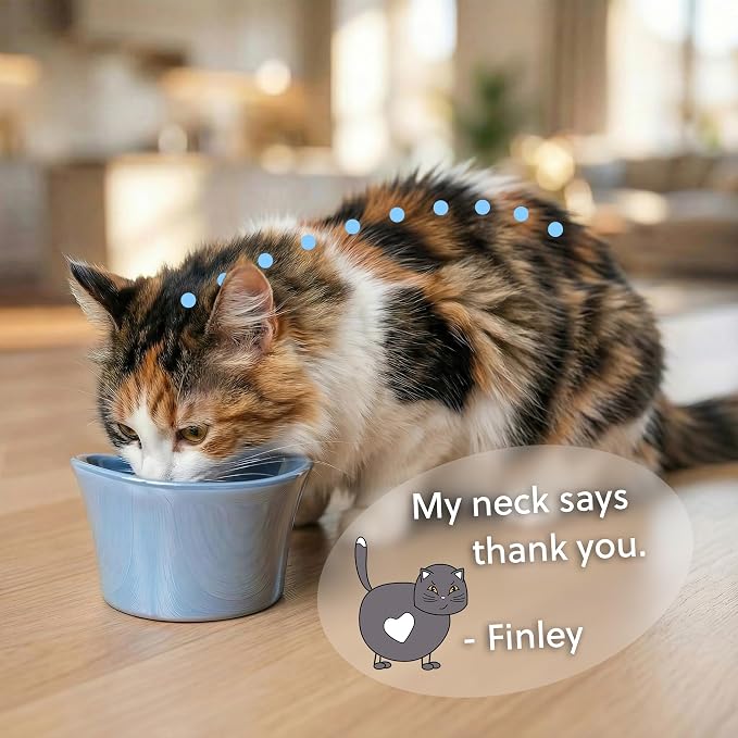 Elevated Cat Bowls for Water – Whisker & Neck Fatigue Shallow Cat Dishes – Raised Bowl for Indoor Cats – Vet-Recommended Height, Modern Pedestal Design – Non-Slip & Dishwasher-Safe – 8 oz Powder Blue