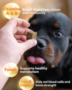 Freeze Dried Beef Liver Treats for Dogs & Cats, (1.1lb) Value Tub | Single Ingredient, High-Protein, Grain-Free Natural Treat, Perfect for Training Rewards or Meal Topper