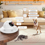 3-in-1 Auto Laser Cat Toy, USB Recharge Motion Activated Kitten Feather Chase Toy - Pure White