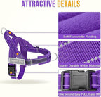 SlowTon No Pull Dog Harness - Heavy Duty Dog Harness and Leash Set for Medium Large Dogs, Reflective Tactical Harness with Soft Padded and Front Clip for Easy Walk and Training (Purple, L)