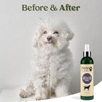 PAWFUME Skin & Coat Detangler Spray for Dogs, 2-Pack – Soothe Dry, Itchy Coats Quickly – Non-Toxic Chamomile & Oat Formula, Essential Fatty Acids & Vet-Certified – Dog Detangler Spray Dematting Care