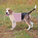 Lelepet Dog Recovery Suit for Front Legs, Dog Sleeve to Stop Licking 2XL | Elbow Protector for Leg Injuries Shoulder Wounds After Surgery Male Female,Zippered Long-Sleeved Shirt Cone Alternative S-3XL