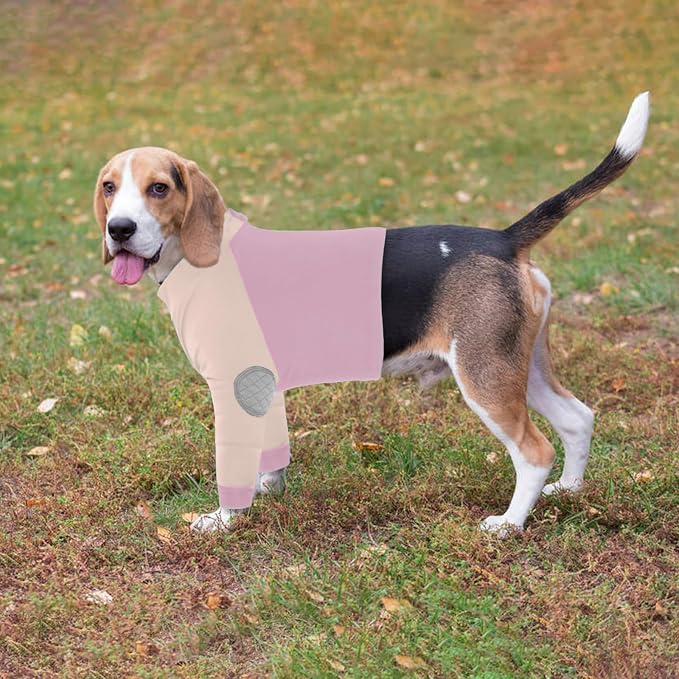 Lelepet Dog Recovery Suit for Front Legs, Dog Sleeve to Stop Licking XL | Elbow Protector for Leg Injuries Shoulder Wounds After Surgery Male Female,Zippered Long-Sleeved Shirt Cone Alternative S-3XL