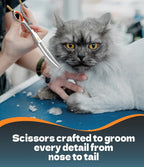6" Small Curved Chunker Scissors, Japanese 440C Steel with Safety Round Tips, Lightweight Pet Grooming Shears for Professional Face, Paws & Body Contouring